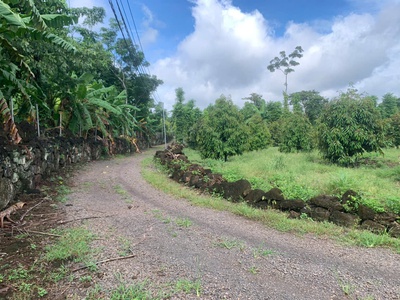 Phường Bàu Sen- T.p Long Khánh 7