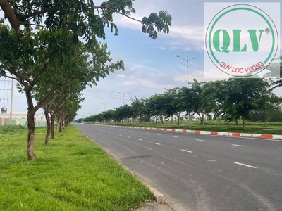 Cho thuê DT 20.000m2 đất trống trong KCN Phú Mỹ 1, Bà Rịa - Vũng Tàu. 2