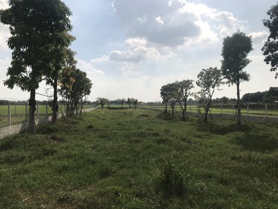 Bán đất mặt tiền đường Bàu tre . DT 2800m2 .Chính chủ . Tân An Hội. 0