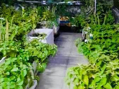 Hai mặt tiền kinh doanh ngay lê trọng tấn - 3 tầng btct - 125m nở hậu nhỉnh 13 tỷ 4