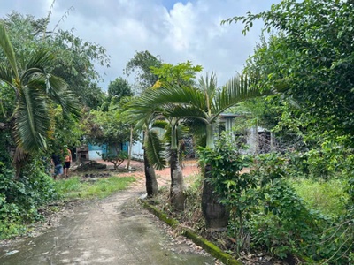 Chính chủ cho thuê 2 nhà riêng đường cao thị bèo - huyện củ chi - tp hồ chí minh 4