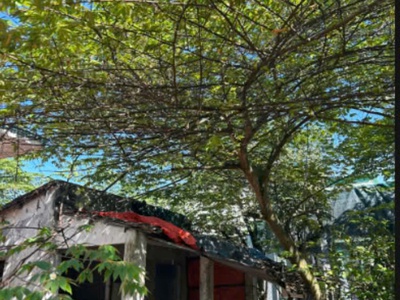 Chính chủ cho thuê 2 nhà riêng đường cao thị bèo - huyện củ chi - tp hồ chí minh 3