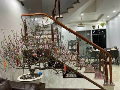 Hót   chính chủ cho thuê nhà 4 tầng 60m2 tại thiên lôi, kênh dương, lê chân, hải phòng 1