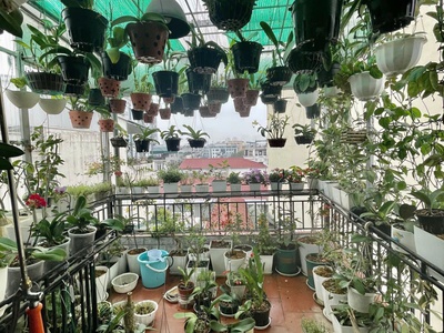 Bán nhà mặt phố đống đa - đông các - hoàng cầu diện tích 62m 6 tầng thang máy dòng tiền 1 tỷ/ năm 4