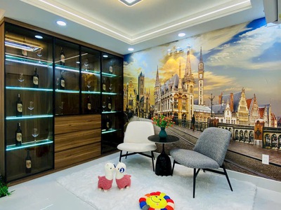 Bán Siêu Phẩm Nhà Phố Đường số 1, Phường 16, Quận Gò vấp 11