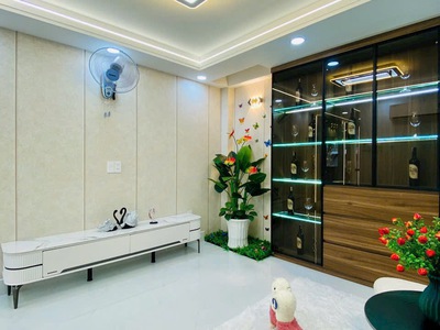 Bán Siêu Phẩm Nhà Phố Đường số 1, Phường 16, Quận Gò vấp 12