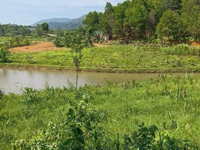 4989 m2 Vị trí đẹp thứ 2 Ba Vì -Yên Bài - Ba Vì - Hà Nội Giá thương lượng miễn môi giới trung gian 0