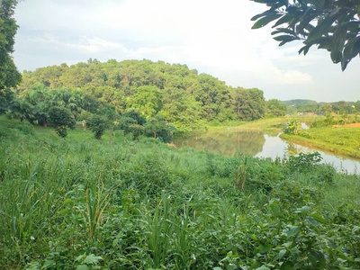 4989 m2 Vị trí đẹp thứ 2 Ba Vì -Yên Bài - Ba Vì - Hà Nội Giá thương lượng miễn môi giới trung gian 1