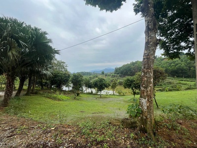 4989 m2 Vị trí đẹp thứ 2 Ba Vì -Yên Bài - Ba Vì - Hà Nội Giá thương lượng miễn môi giới trung gian 2