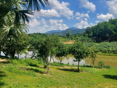 4989 m2 Vị trí đẹp thứ 2 Ba Vì -Yên Bài - Ba Vì - Hà Nội Giá thương lượng miễn môi giới trung gian 3