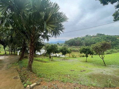 4989 m2 Vị trí đẹp thứ 2 Ba Vì -Yên Bài - Ba Vì - Hà Nội Giá thương lượng miễn môi giới trung gian 4