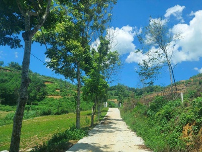 4989 m2 Vị trí đẹp thứ 2 Ba Vì -Yên Bài - Ba Vì - Hà Nội Giá thương lượng miễn môi giới trung gian 5