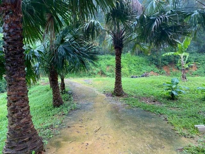4989 m2 Vị trí đẹp thứ 2 Ba Vì -Yên Bài - Ba Vì - Hà Nội Giá thương lượng miễn môi giới trung gian 6