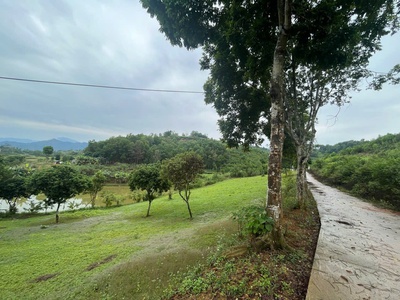 4989 m2 Vị trí đẹp thứ 2 Ba Vì -Yên Bài - Ba Vì - Hà Nội Giá thương lượng miễn môi giới trung gian 10
