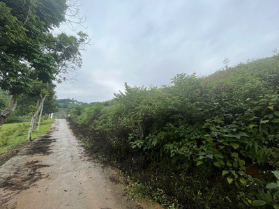 4989 m2 Vị trí đẹp thứ 2 Ba Vì -Yên Bài - Ba Vì - Hà Nội Giá thương lượng miễn môi giới trung gian 11