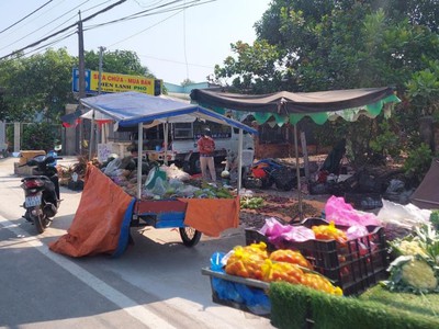 Bán rẻ 3 sổ  836m2 . giá 290 triệu/sổ mtkd chợ ttt xã vào, full thổ sổ riêng 3