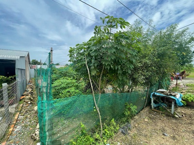 Chính chủ cần bán nhanh 2 nền đất thổ cư xã thạnh mỹ huyện vĩnh thạnh tp cần thơ 0