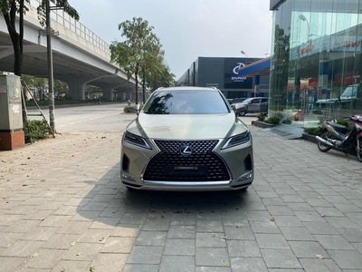 Bán Lexus RX300, sản xuất 2020, màu Titan cực đep, xe 1 chủ. 0