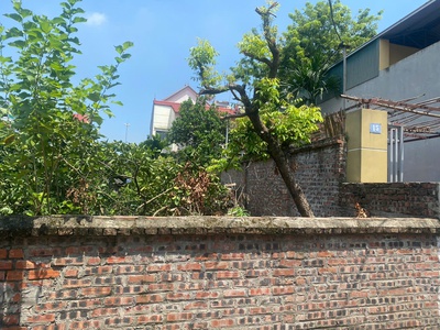 Bán 100m2 đất sơn du nguyên khê đông anh, hà nội 1