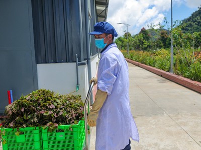 Đẩy mạnh phát triển các sản phẩm OCOP từ cây dược liệu thiên nhiên 0