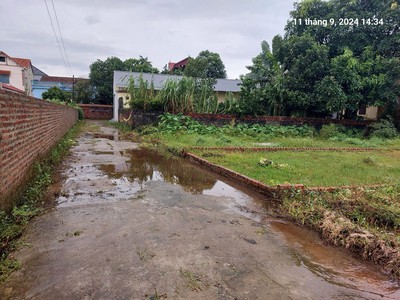 Chính chủ tìm khách sang tên hiển ninh, 71.5m2, mt5m, 1.35 tỷ, ô tô thông, sóc sơn. 3