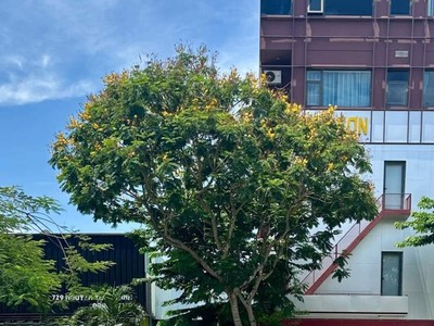 Bán đất đường nguyễn tất thành - thanh khê, đà nẵng 1