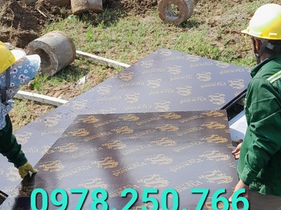 Ván ép phủ phim giá rẻ tại Sóc Trăng - Hàng mới 100 2