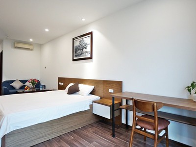 Cực hiếm cho thuê căn hộ siêu vip, đầy đủ tiện nghi tại cát linh - đống đa 2