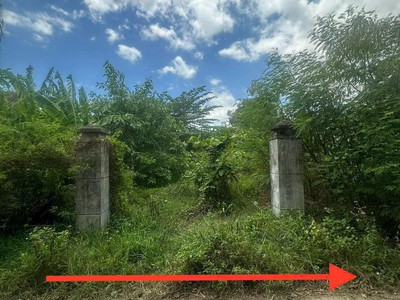 Đất mặt tiền đường lê thành phương, hoà vinh, đông hoà.ngay trường nguyễn tất thành chỉ 640 triệu 3