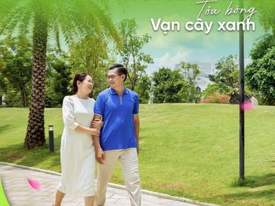 Chỉ 380 triệu sở hữu ngay căn hộ cao cấp beverly trực diện vinwonder 3