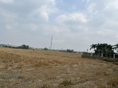 Bán đất tân bửu, bến lức, long an 20.335m2 giá 3,5tr/m cách đường nguyễn hữu trí 300m 0
