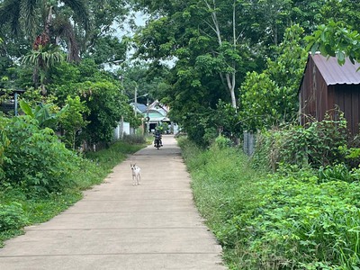 Chính chủ cần bán nhanh lô đất minh tân, dầu tiếng bình dương 2