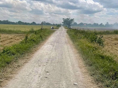 Chính chủ cần bán đất ruộng ở tân thành a - tân hồng  - tỉnh đồng tháp. 2