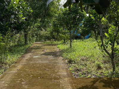 Cần bán Gấp Lô Đất Vườn  1000-5000m2  Giá Rẻ từ 200tr SỔ HỒNG Chuẩn pháp lý 4