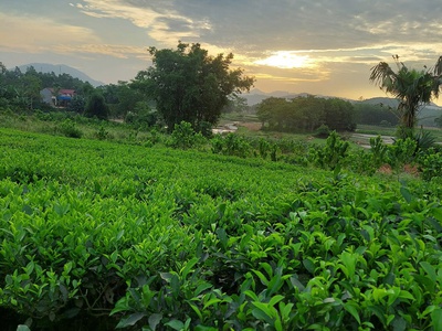 Cần bán Gấp Lô Đất Vườn  1000-5000m2  Giá Rẻ từ 200tr SỔ HỒNG Chuẩn pháp lý 7