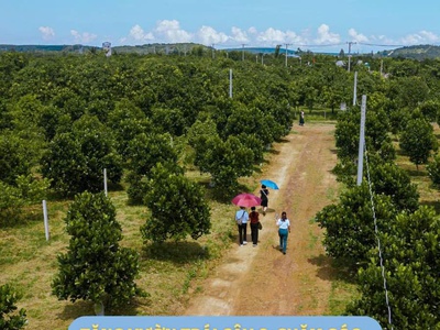 Cần bán Gấp Lô Đất Vườn  1000-5000m2  Giá Rẻ từ 200tr SỔ HỒNG Chuẩn pháp lý 2