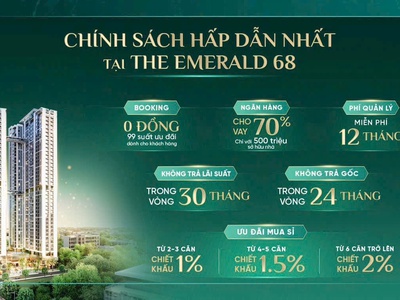 Căn hộ dự án cao cấp the emerald 68 tại bình dương 0