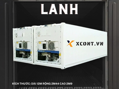 Container Lạnh - Giải Pháp Cấp Đông nhanh chóng 1