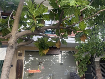 Cần bán nhanh nhà 3 lầu phường an hải tây, sơn trà đà nẵng 1