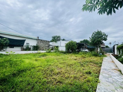 Chủ bán nhanh nhà và trang trai duối , chồn hương đang kinh doanh 4