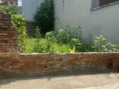 Bán đất thụy lâm, 90m2, mt5.5m, 3.15 tỷ, ô tô, thông, đông anh. 2