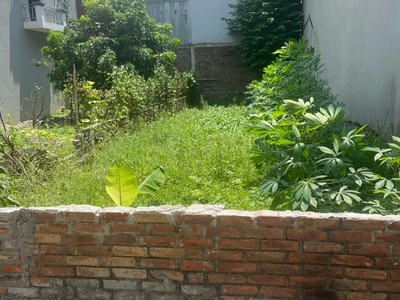 Bán đất thụy lâm, 90m2, mt5.5m, 3.15 tỷ, ô tô, thông, đông anh. 1