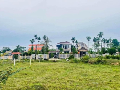 Đất nền giá rẻ điện bàn giá rể nhất thị trường chỉ với 290 triệu diện tích 250m2 0