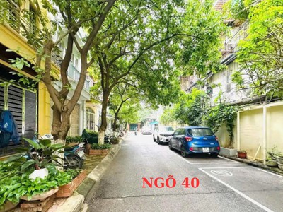 Thật 100  đẹp nhất phương liệt, ô tô cạnh nhà, nt xịn, 52m  3t, mt 5m 0