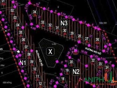 Buổi tối đầu tuần tại đấu giá phường Đằng Lâm, Hải An, Hải Phòng 3