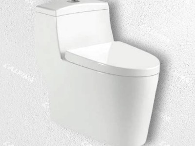 Bồn Cầu Liền Khối Chính Hãng L ALPINA R018 0