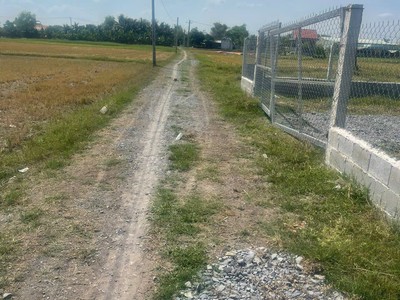 Bán đất vườn liền kề khu công nghiệp huỳnh mai, thuộc ấp rừng sến, xã mỹ hạnh bắc huyện đức hoà 0