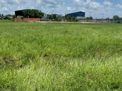 Bán đất vườn liền kề khu công nghiệp huỳnh mai, thuộc ấp rừng sến, xã mỹ hạnh bắc huyện đức hoà 1