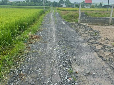 Bán đất vườn liền kề khu công nghiệp huỳnh mai, thuộc ấp rừng sến, xã mỹ hạnh bắc huyện đức hoà 3