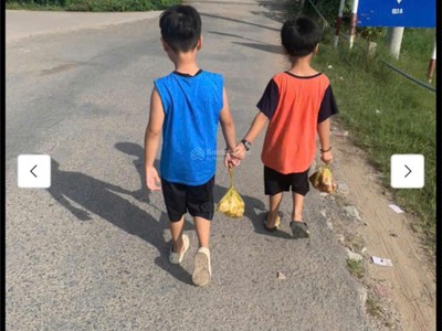 Chính chủ cần bán nhanh lô đất tại ấp thạnh phú , xã thạnh quới, huyện long hồ, vĩnh long 3